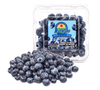 Blueberry 6 oz