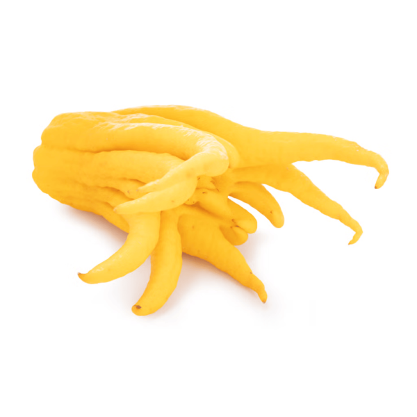 Buddha's Hands 1 count