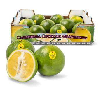 California Cocktail Grapefruits 5.5-6 lb