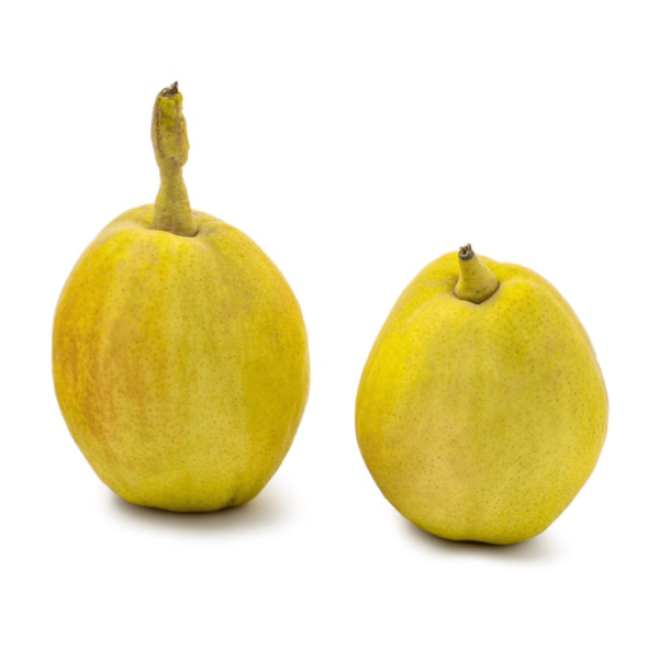 Fragrant Pear 5 lb - Image 2