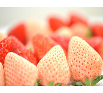 Hokkaido Strawberry Mix Collection 270g – limited availability 250 g