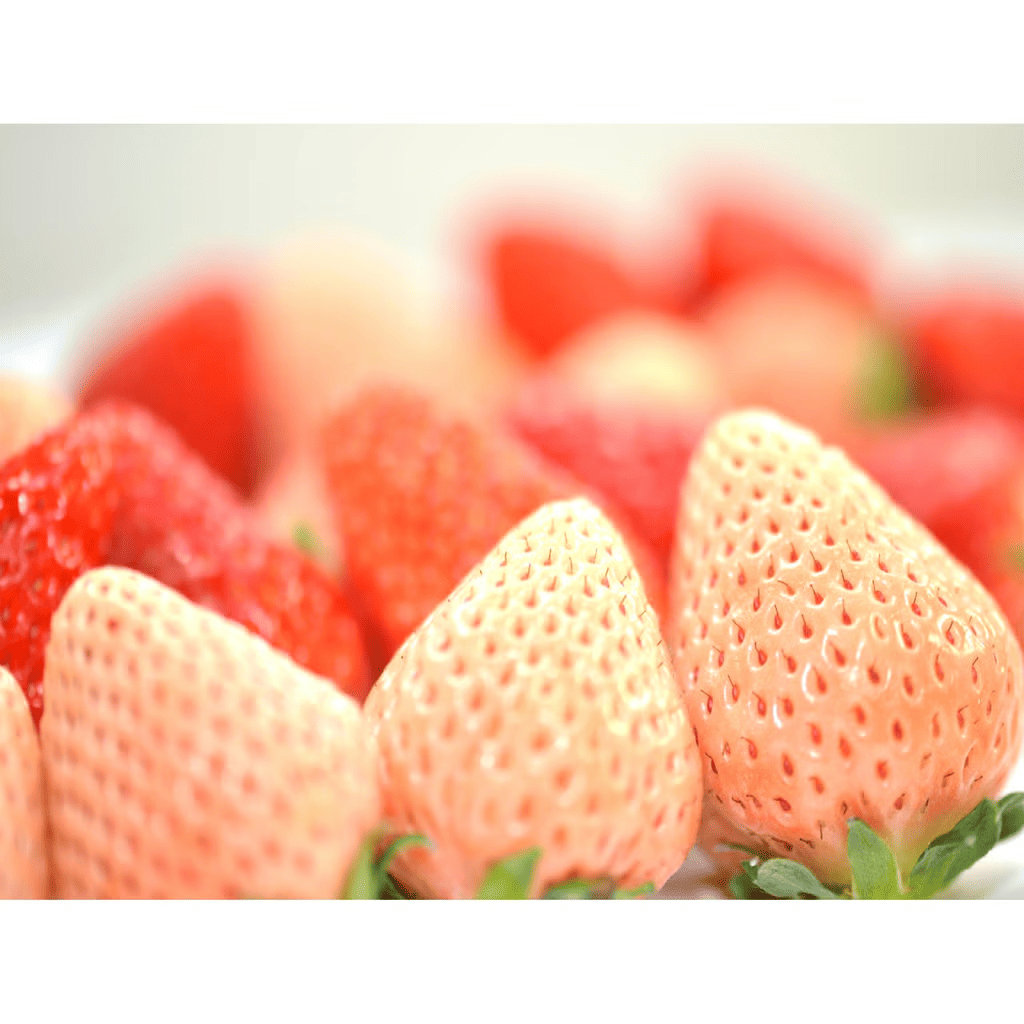 Hokkaido Strawberry Mix Collection 270g – limited availability 250 g