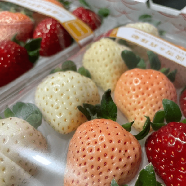 Hokkaido Strawberry Mix Collection 270g - limited availability 250 g - Image 4