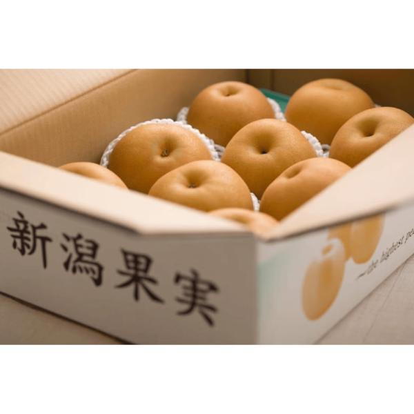 Japanese Pear "Aki Zuki" 500g - Image 3