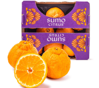 Jumbo Sumo Mandarin Gift Box 4.5-5 lb