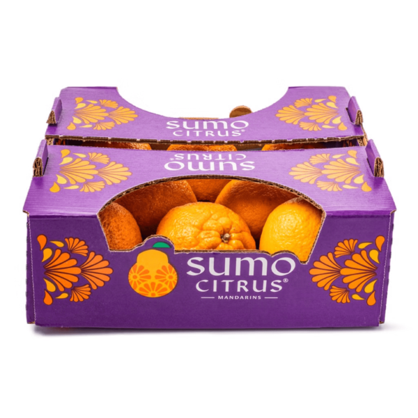 Jumbo Sumo Mandarin Gift Box 4.5-5 lb - Image 2