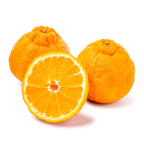Jumbo Sumo Mandarin Gift Box 4.5-5 lb - Image 4