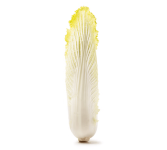 Long Napa Cabbage 1 count