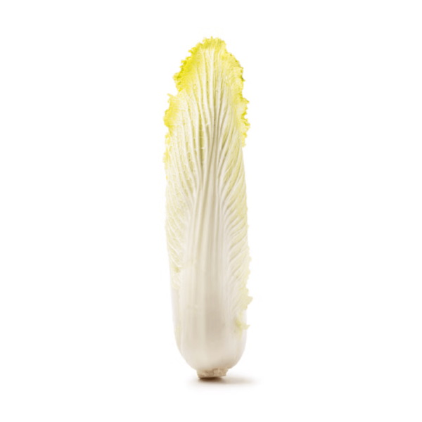 Long Napa Cabbage 1 count