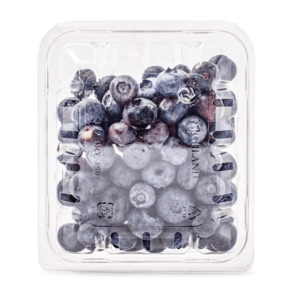 Organic Blueberries 6 oz - Image 2