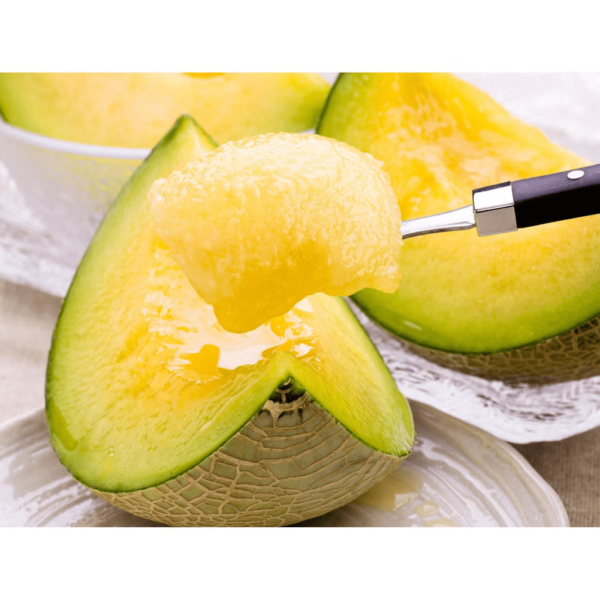 Premium Grade Japanese Musk Melon 1.6kg 3.5 lb