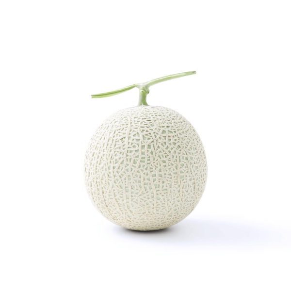 Premium Grade Japanese Musk Melon 1.6kg 3.5 lb - Image 3