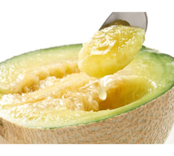 Premium Musk Japanese Melon TOSA 1.4kg 3 lb