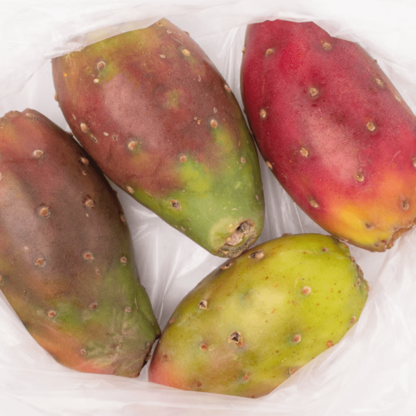 Red Cactus Pear 4 count - Image 2