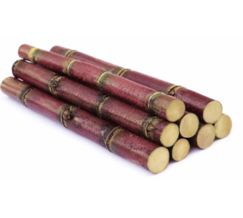 Red Sugar Cane 3.8-4.2 lb