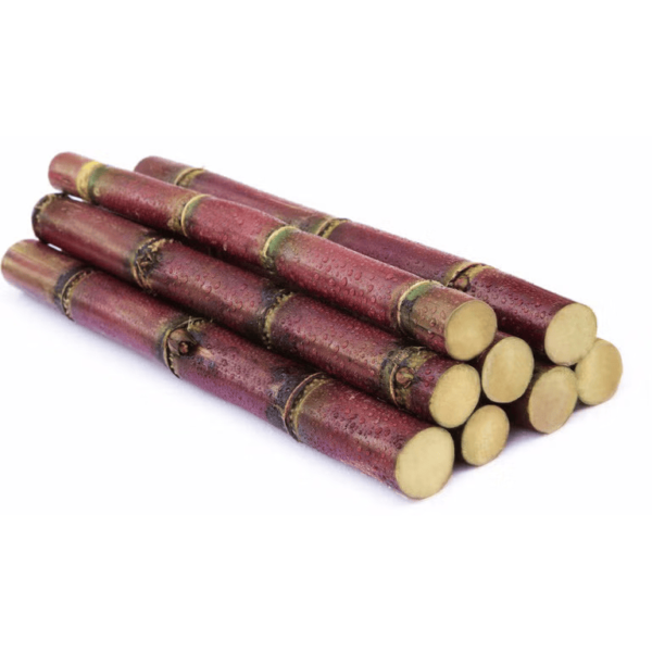 Red Sugar Cane 3.8-4.2 lb