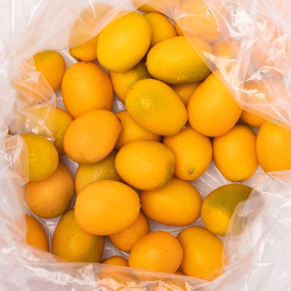 Round Kumquat 1 lb - Image 2