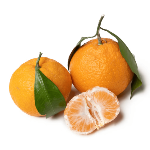 Satsuma Mandarins with Leaves 4 lb