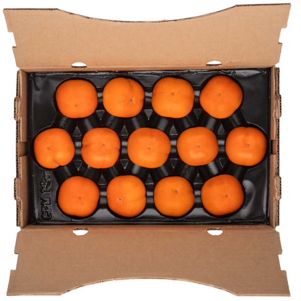 Sharon Fruit Persimmons Gift Box 4 lb - Image 3