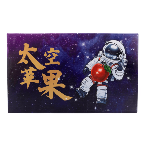 Space Apple 1 case - Image 2