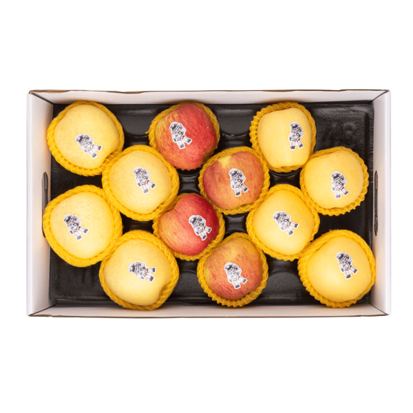 Space Apple 1 case - Image 3