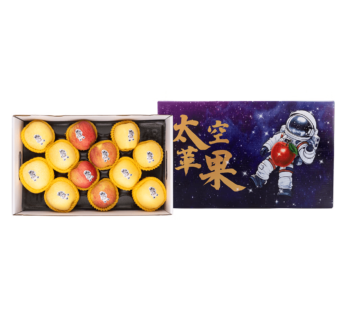 Space Apple 1 case
