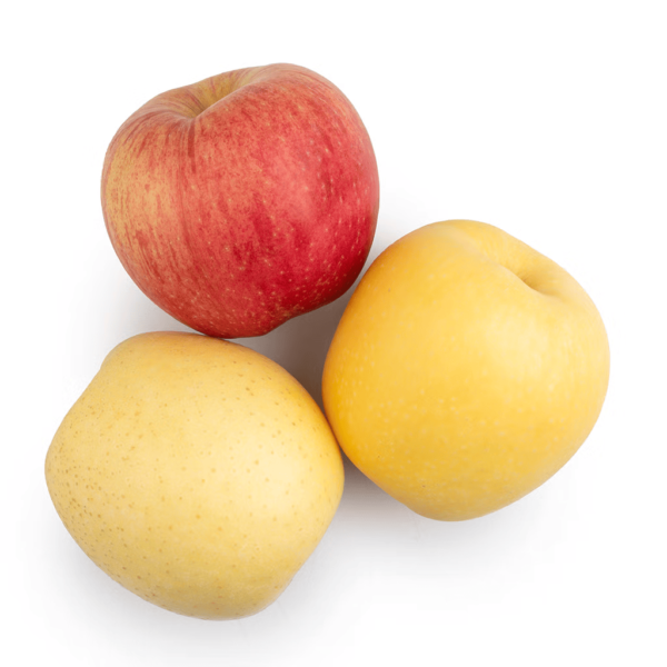 Space Apple 1 case - Image 4