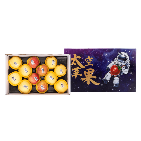 Space Apple 1 case