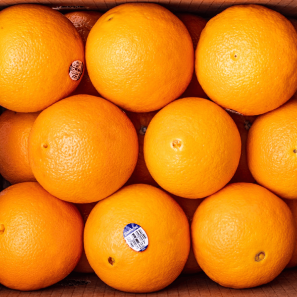 Sunkist Navel Oranges Gift Pack 10 lb - Image 3
