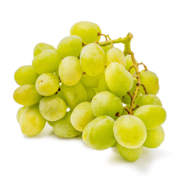 Sweet Green Seedless Grapes 1.5-2 lb