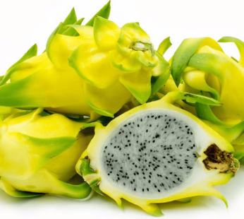 Vietnam Yellow Dragon Fruit 10 lb