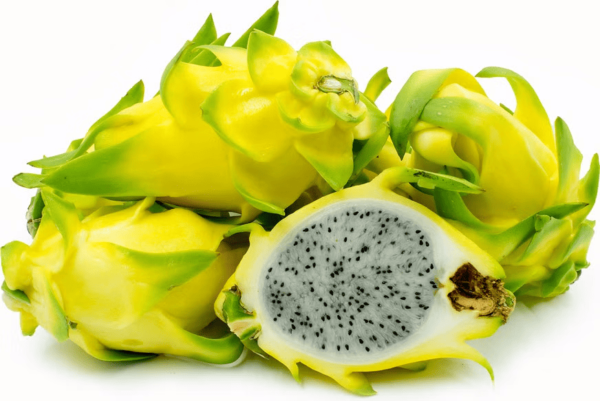 Vietnam Yellow Dragon Fruit 10 lb