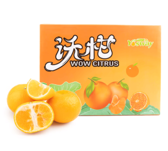 Wow Sweet Citrus Gift Box 1 case