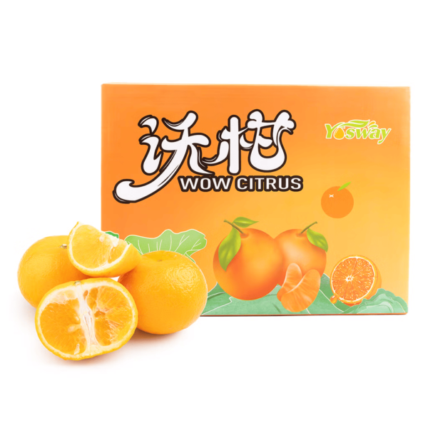 Wow Sweet Citrus Gift Box 1 case