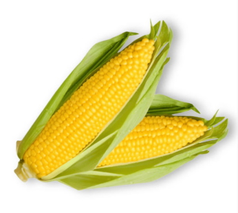 Yellow Corn 1 count